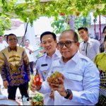 Pj. Gubernur Lampung Sambangi Kebun Anggur ASPAI Pringsewu, Dukung Penetapan “Kota Anggur” sebagai Identitas Daerah