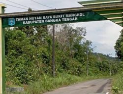 Kasus Dugaan Korupsi Tahura Bukit Mangkol Serius Dibidik Kejari Bateng