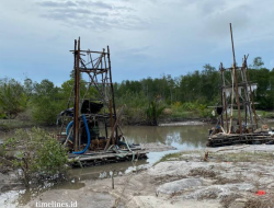 Ancur Mina ! Barusan Dikuras 300 Triliun, Merbuk Pungguk Kenari Kembali Jadi Bancakan Penambang Liar