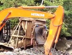 Tambang Emas Ilegal Marak di Pasaman: Puluhan Alat Berat Rusak Hutan dan Lingkungan