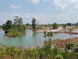 Berapa Jumlah RKAB Mineral Timah di Bangka Belitung? Penambang : Soal itu kami tidak urus yang penting bisa makan