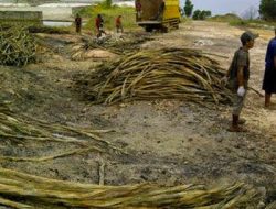Pemain Lama Kabel Laut KAR Incar Proyek Google Meta di Segitiga Belitung-Bangka-Bintan?
