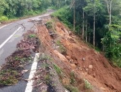 Hujan Deras Sebabkan Bahu Jalan Ambles!!! Jalan Penghubung Jorong Kelabu Air dingin Terancam Putus