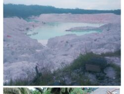 Jika Perluasan Tambang dan Sawit Makin Gacor, Ketahanan Pangan di Babel Jadi Taruhan