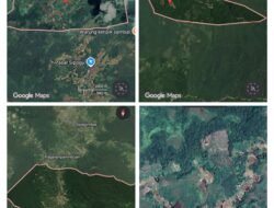 Geram Wilayahnya Hancur Akibat Pembalakan Hutan, Bupati Tapsel Bocorkan List 12 Pengusaha  
