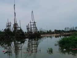 Riset Greenpeace Bilang, Masyarakat Dalam Pusaran Industri Tambang Tidak Sejahtera 