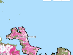 Pantas Banjir Jadi Headline Awal Tahun, Hampir 70 persen Hutan di Babel Dalam Kondisi Kritis