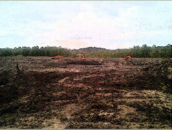 Tirus Village: A Repertoire of Ecosystem Extinction