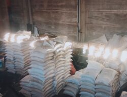 Wow, Harga Timah Dunia Sedang “Mendidih” Sentuh Angka US$53,9 Ribu per ton