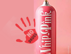 Mengenal Apa Itu “Whip Pink” Tren Sensasi Ngefly Beresiko Kematian