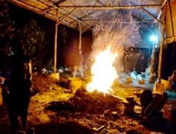 Tak Pandang Bulu, Bahkan Depan Mako Brimob Mafia Timah Balok Bernyali Lakukan Peleburan 