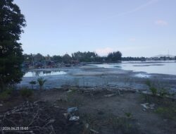 Tambang Ilegal Jalan Laut Makin Menantang Seolah Hidup Di Negeri Para Mafia