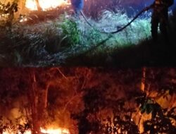 Gerak Sigap Babinsa Koramil 413-01/Sungailiat Bersama Timgab Sukses Padamkan Karhutla di Pantai Tikus