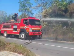 Cegah Karhutla Akibat Cuaca Panas, BPBD Pangkalpinang Berjibaku Padamkan Api